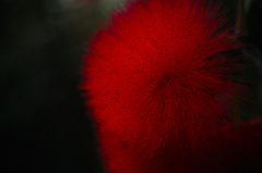 Melancholia - DP3M0299