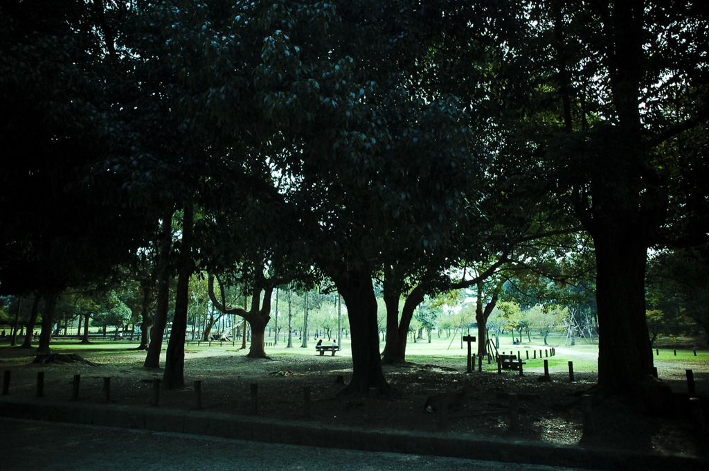 DSC_4042