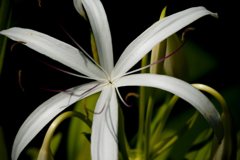 DSCF0458