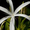 DSCF0458