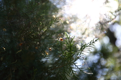 IMG_0574