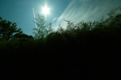 SDIM2986