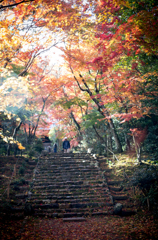 浄住寺　紅葉　K_5_9419