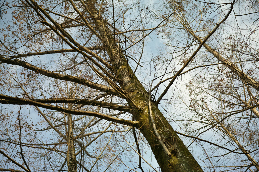 DP3M0467