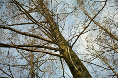 DP3M0467