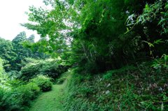 Green Chronicle - D30_8740