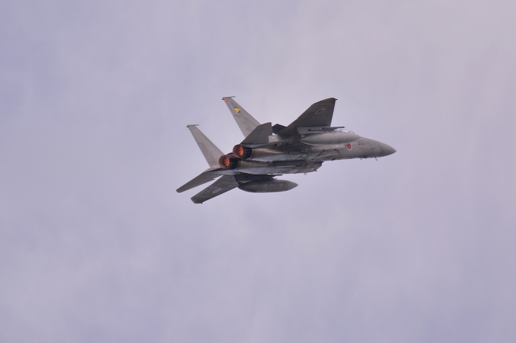 JASDF 306th Tactical Fighter Squadron