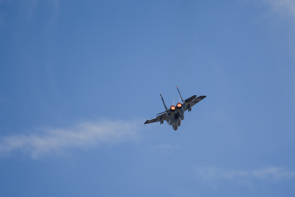 JASDF 303rd Tactical Fighter Squadron