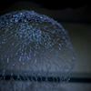 032-D30_1906