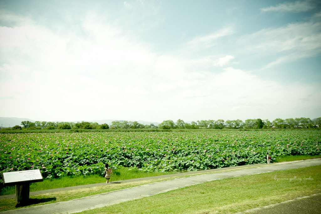 SDIM2638