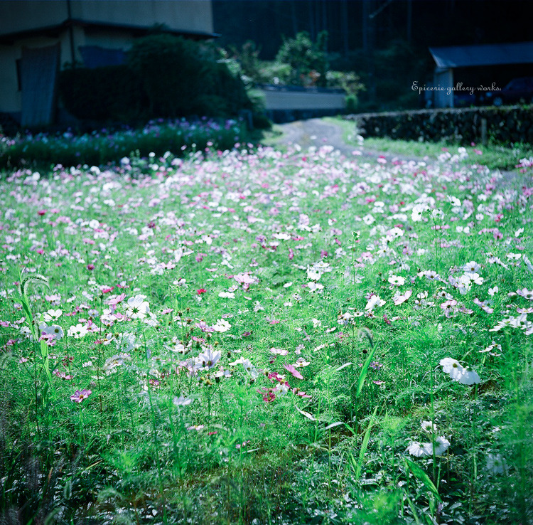 MA_091004_ohara_FU160_02