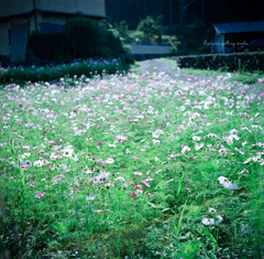 MA_091004_ohara_FU160_02