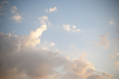 D30_9205
