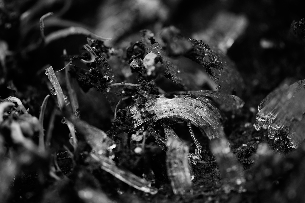 needle ice