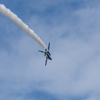 Blue Impulse　D71_3834