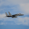 JASDF 303rd Tactical Fighter Squadron