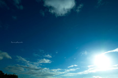 SDIM2555
