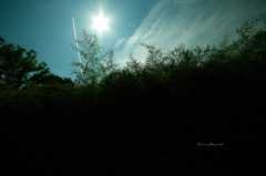 SDIM2986
