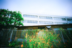 CGHO_091001_KOSG400_22