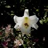 DSCF0478_2