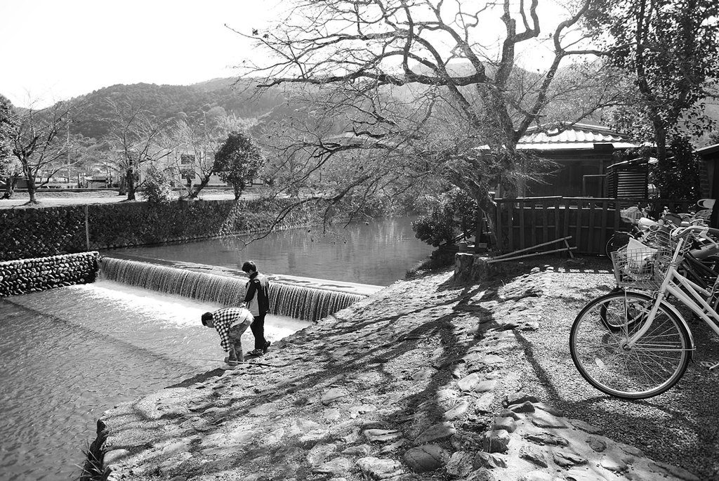 逍遥記：photo1885898