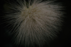 Melancholia - DP3M0297