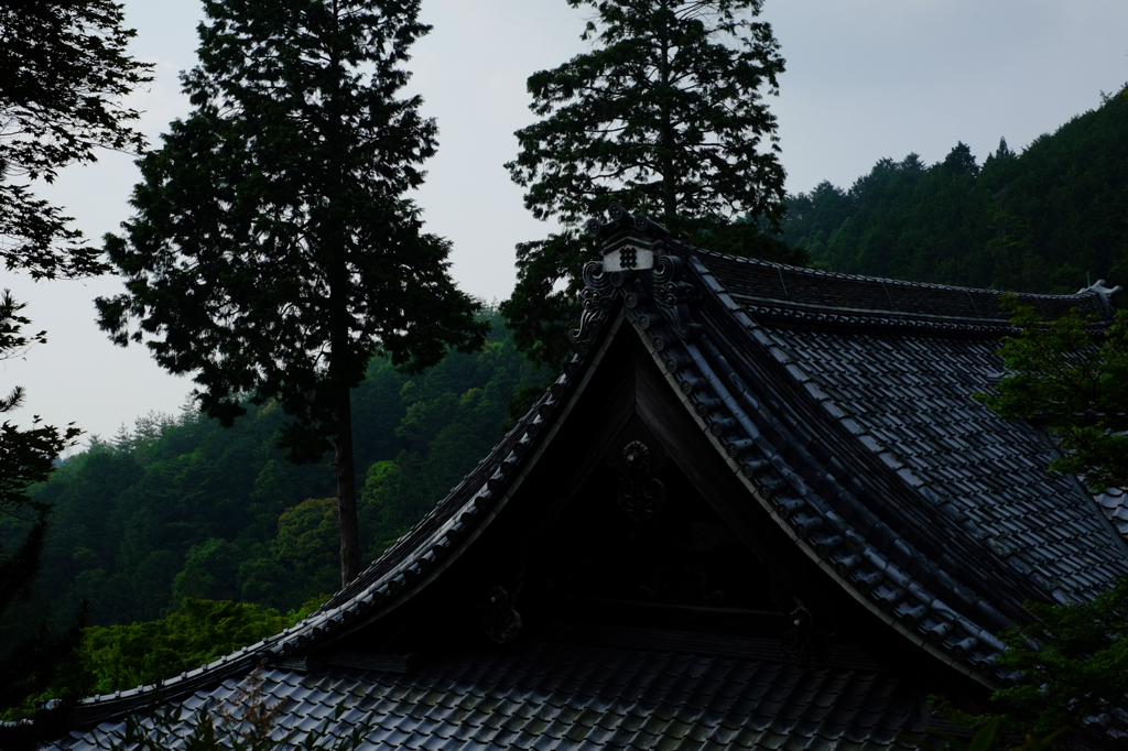 本堂