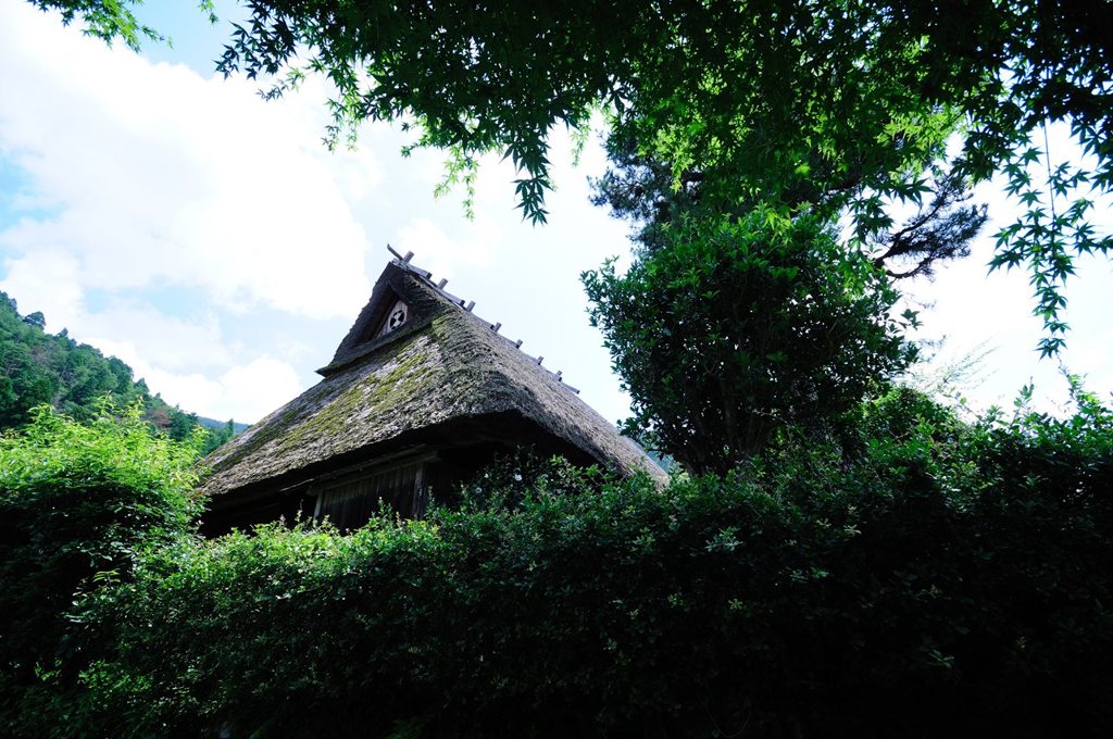 Green Chronicle - D30_8729