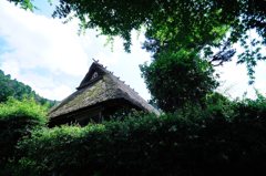 Green Chronicle - D30_8729