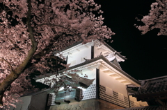 金沢城石川門
