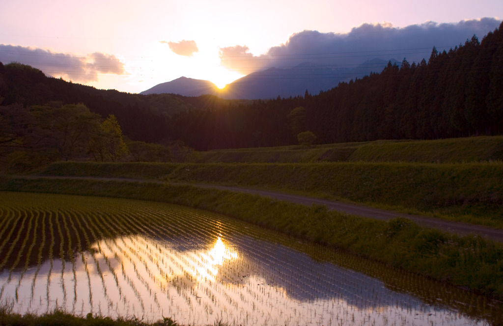 夕景に包まれる棚田