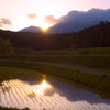 夕景に包まれる棚田