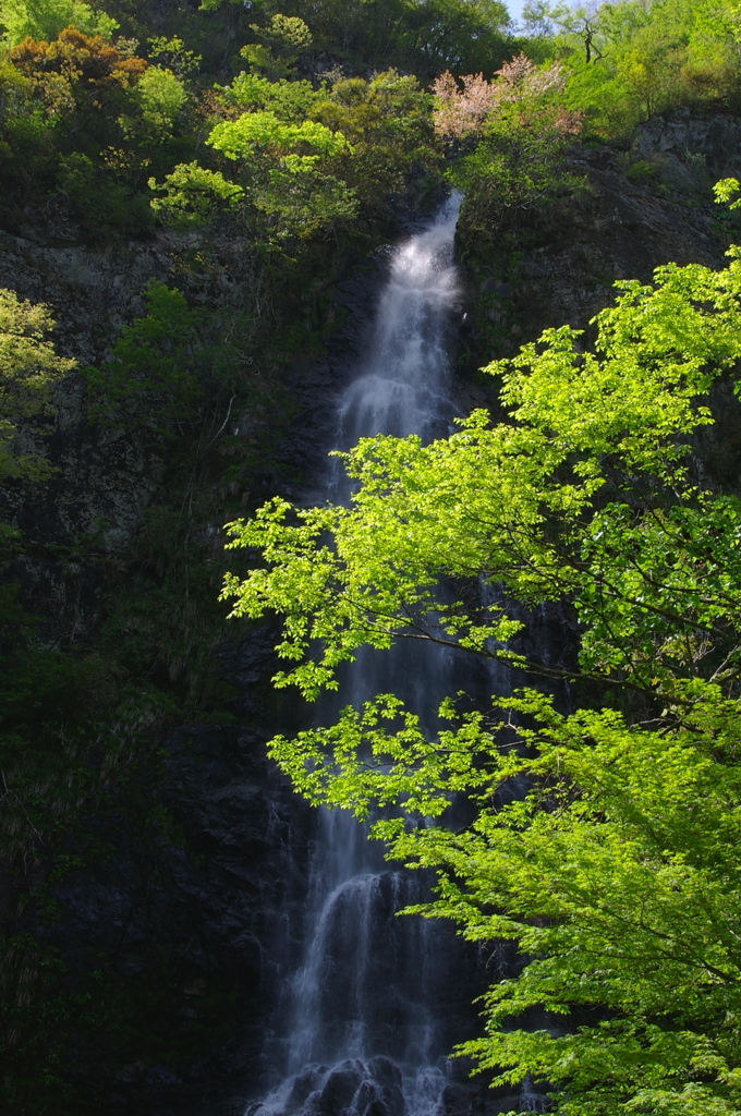 新緑天滝