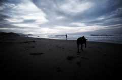 犬と人と海