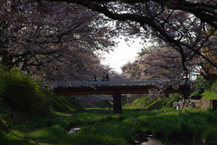 井出の玉川-6