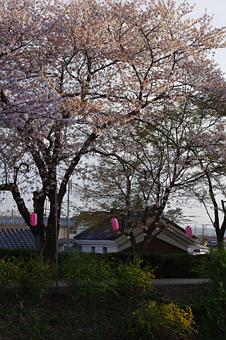 井出の玉川-7