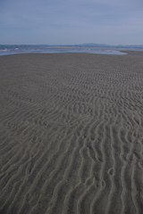 春の海-2