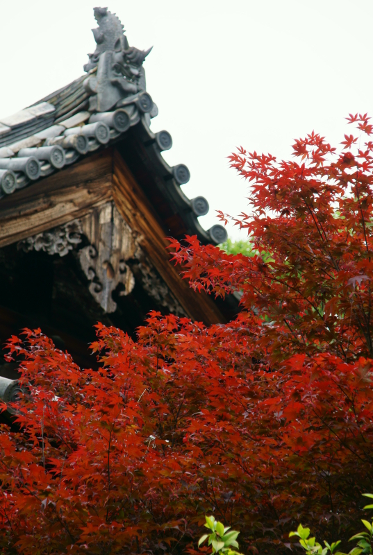 海龍王寺