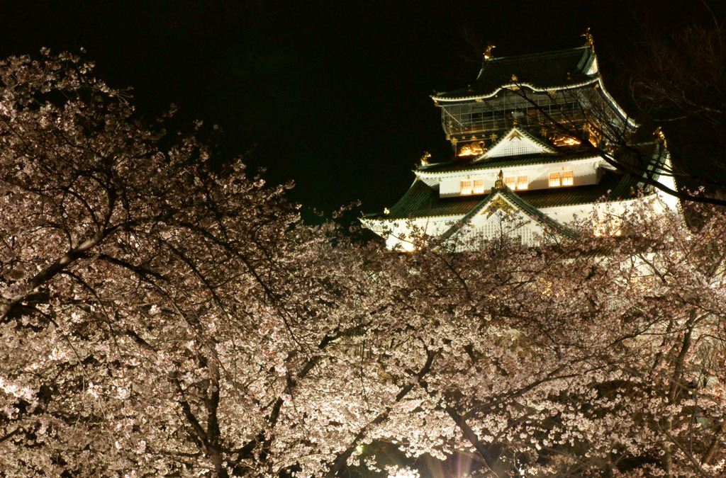 大阪城西の丸庭園２