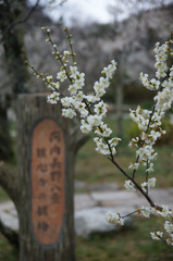 DSC04623