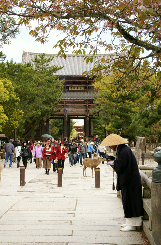 東大寺への道