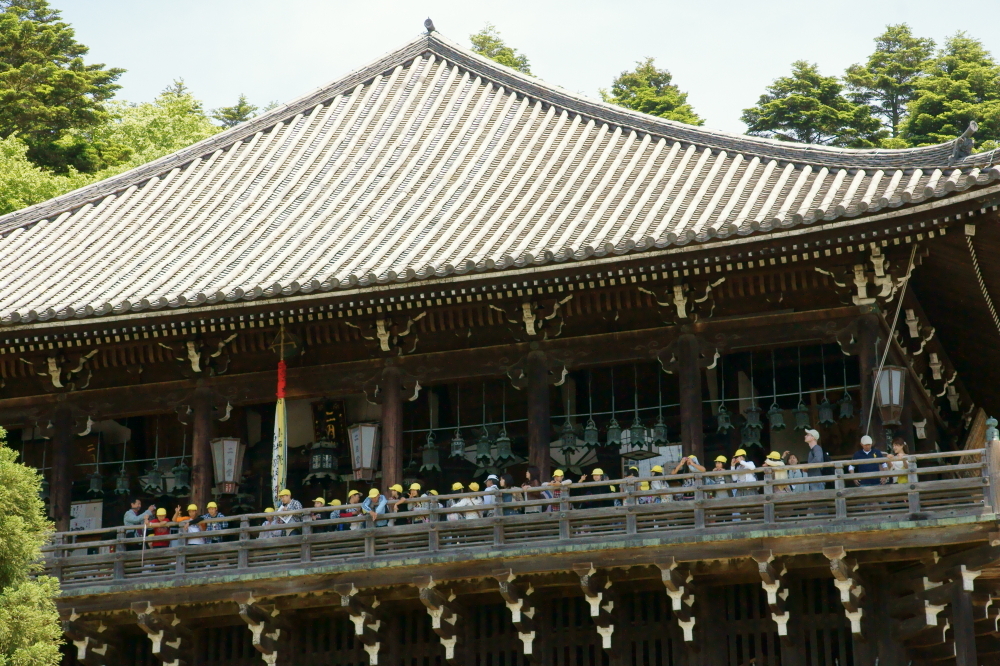 黄色帽子