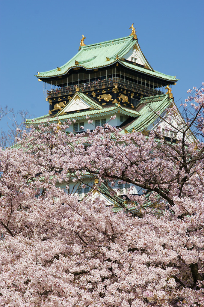 満開の大阪城