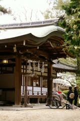 春日大社の結婚準備