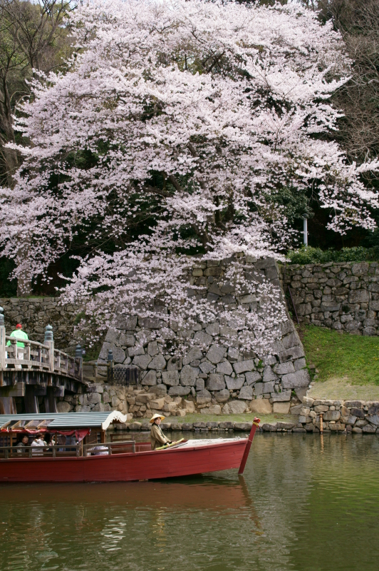 桜船渡航