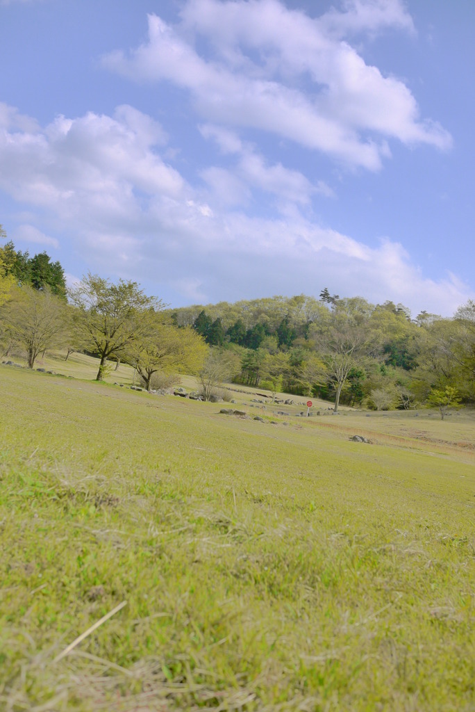 秘密のいやしの場所