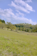 秘密のいやしの場所