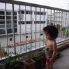 野性児