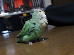 ん？