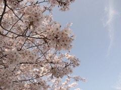 撮影日和